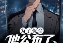 主人公叫叶城的小说哪里免费看-干果文学