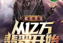 陈墨苏沫的完整故事在哪里?读都市寻宝从亿万翡翠开始小说-干果文学