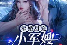 哪里可以免费读到容景辰叶沐栖的完整故事?寻找军婚甜宠:小军嫂又美又娇-干果文学