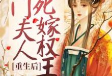 蔺云婉齐令珩是哪本书的主角?寻找重生后,侯门夫人假死嫁权王免费阅读-干果文学