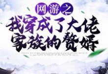 林度宁风雅为主角的小说叫什么?免费看网游之我穿成了大佬家族的赘婿-干果文学