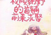 求丧偶当天,权倾朝野的首辅前来求娶小说免费资源-干果文学