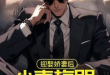 迎娶娇妻后,小青梅哭着来找我这本小说在哪里可以看?哪里有免费试读章节?-干果文学