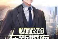 《为了改命,在新婚夜撒腿就跑》小说大结局免费试读 赵和平沈清如小说-干果文学