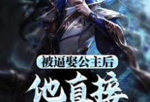 主角叫王修苏晚晴小说被逼娶公主后,他直接坐了皇位章节免费阅读-干果文学
