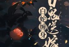 白蛇缠身,百鬼送嫁主角聂灵常天卿小说完结版章节在线阅读-干果文学