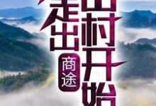 商途:从走出山村开始小说,商途:从走出山村开始免费阅读-干果文学