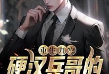重生九零,硬汉兵哥的甜美娇妻小说,重生九零,硬汉兵哥的甜美娇妻免费阅读-干果文学