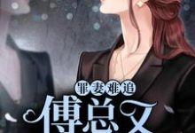 小说《罪妻难追:傅总又被拉黑了》在线章节阅读-干果文学