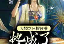 大婚之日撩侯爷,她成了朱砂痣这本小说在哪里可以看?哪里有免费试读章节?-干果文学
