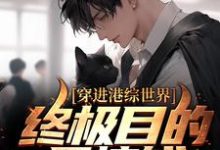 小说《穿进港综世界:终极目的是搞钱》在线章节阅读-干果文学