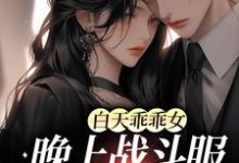 白天乖乖女,晚上战斗服第一杀手这本小说在哪里可以看?哪里有免费试读章节?-干果文学
