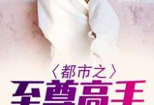 都市之至尊高手免费阅读,都市之至尊高手宁洛夏若雪-干果文学