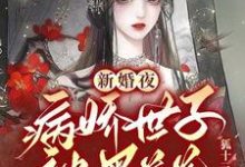 在线寻找新婚夜,病娇世子被黑莲花撩得脸红心跳小说的无删减版本-干果文学
