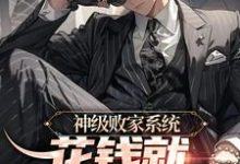 《神级败家系统:花钱就无限返还》全集免费在线阅读(秦风秦大宏)-干果文学