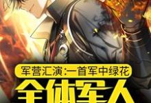 军营汇演:一首军中绿花,全体军人请假探亲林衡小说大结局免费试读-干果文学