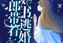 免费在线阅读新婚夜,新郎带着婚书逃婚了?小说的正规网站有哪些?-干果文学