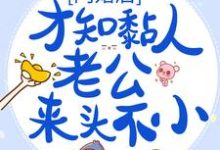 寻找能够免费阅读闪婚后,才知黏人老公来头不小小说的平台-干果文学