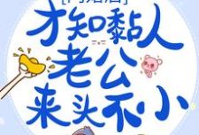 闪婚后,才知黏人老公来头不小小说最新章节在哪里可以读到?-干果文学