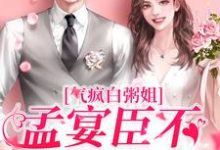 孟宴臣薛杉杉的完整故事在哪里?读气疯白粥姐,孟宴臣不当舔狗了小说-干果文学