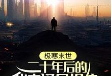 《极寒末世:二十年后的我来通风报信》小说章节列表免费试读,林逸小说在线阅读-干果文学