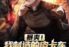 暴爽!我制造的皮卡车能抗火箭弹小说有没有完结版在线?-干果文学