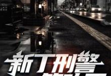 新丁刑警,又双叒叕立一等功了!这本小说在哪里可以看?哪里有免费试读章节?-干果文学