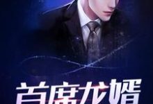 求首席龙婿小说的全文免费阅读链接-干果文学