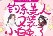 完结版《陛下小心!钓系美人又装小白兔了》在线免费阅读-干果文学