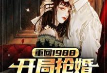 重回1988,开局抢婚抱得美人归小说阅读,重回1988,开局抢婚抱得美人归完结版-干果文学