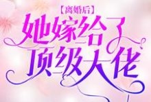 离婚后,她嫁给了顶级大佬这本小说怎么样?免费在线阅读试试-干果文学