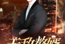 无敌赘婿这本小说怎么样?免费在线阅读试试-干果文学