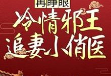再睁眼,冷情邪王追妻小俏医免费阅读,再睁眼,冷情邪王追妻小俏医云月汐欧阳灏轩-干果文学
