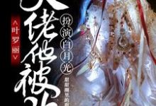 主人公叫 沐白黎灰的小说哪里免费看-干果文学