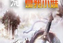 陈轩女娲帝江扬眉道人小说《洪荒:女娲是我小妹》在线阅读-干果文学