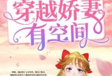 主角沈微谢延小说勇闯七零:穿越娇妻有空间免费阅读-干果文学