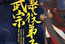 在线寻找叶天苏夭夭的小说,武宗杂役弟子免费阅读-干果文学