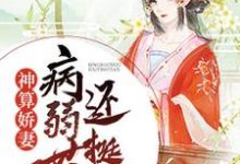 神算娇妻:病弱世子还挺甜主角江晚白祁青行小说完结版章节在线阅读-干果文学