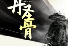 任天一沐颜汐小说叫什么(天丹圣骨免费阅读)-干果文学