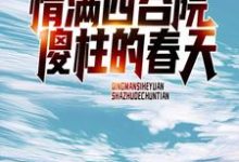 何雨柱傻柱的故事在哪本书里?免费阅读情满四合院:傻柱的春天-干果文学