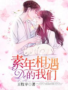 完结版《素年相遇的我们》免费阅读