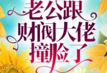 求相亲闪婚后,老公跟财阀大佬撞脸了小说免费资源-干果文学