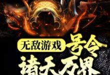 《无敌游戏:号令诸天万界当魔君》小说大结局免费试读 苏白小说-干果文学