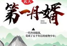 完结版《玄天第一丹婿》免费阅读-干果文学