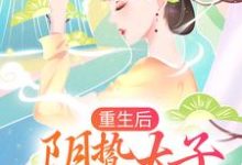 重生后,阴鸷太子要娶我为妃沈雨燃萧明彻在线章节免费阅读-干果文学