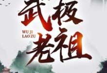 武极老祖小说,武极老祖林炎灵皇-干果文学