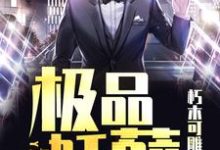 叶凡柳若霜小说在线章节免费阅读(极品妖孽无弹窗无删减)-干果文学