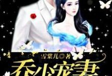 乔少宠妻甜蜜蜜小说,乔少宠妻甜蜜蜜唐苏晴乔夜韩-干果文学