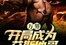 万界:开局成为艾斯他哥小说,万界:开局成为艾斯他哥免费阅读-干果文学