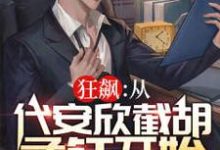 狂飙:从代安欣截胡孟钰开始小说最新章节在哪里可以读到?-干果文学